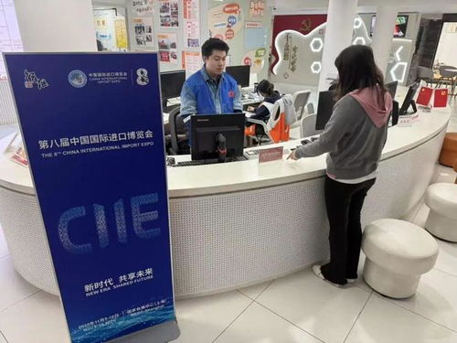 志愿暖流匯聚徐匯，全力護航進博盛會——信息咨詢服務助力進博會